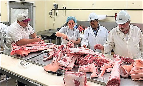 ‘USDA Approved’? Not If This Plan Goes Through. Picture of USDA inspecting a hog slaughterhouse