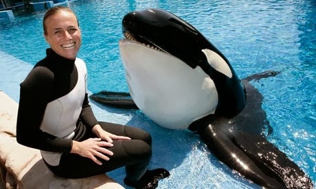 Dawn Brancheau at SeaWorld.