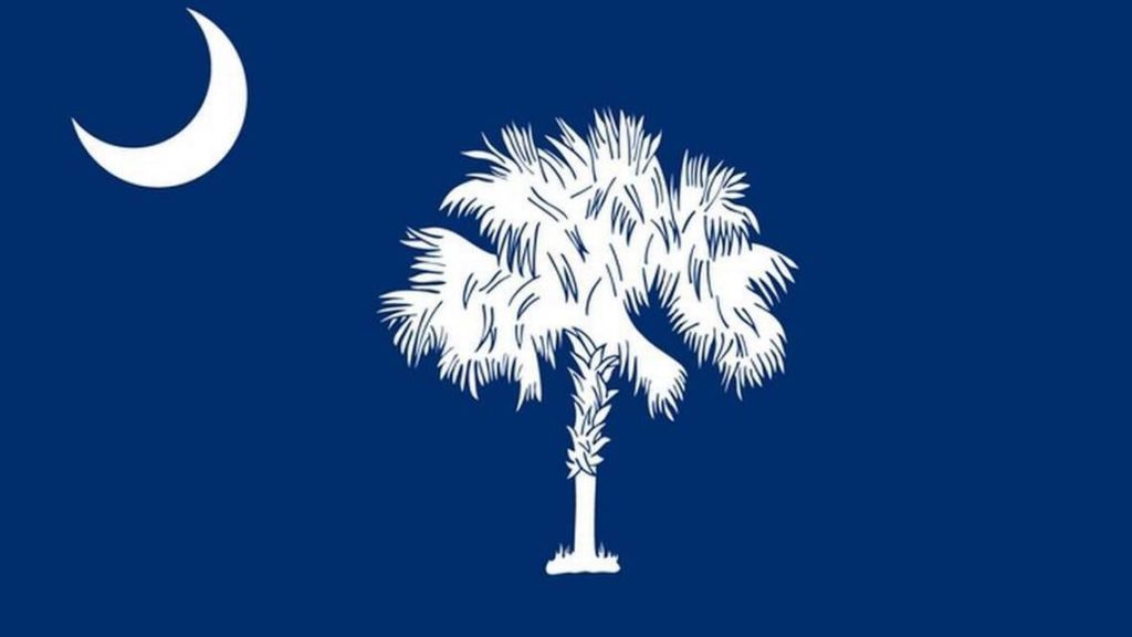 State Parties Stack The Deck for Trump’s Renomination South Carolina State Flag