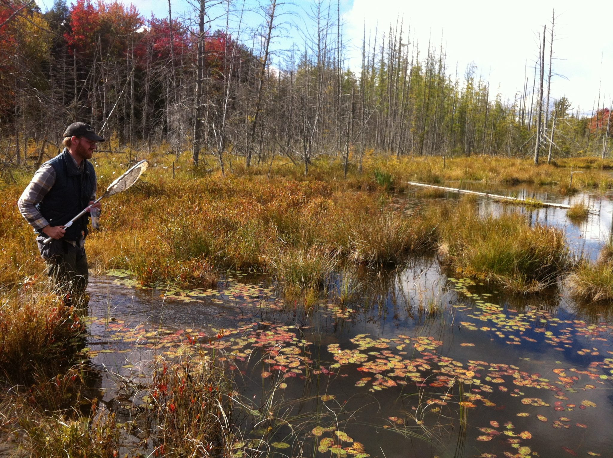 An Entomologist doing field work.