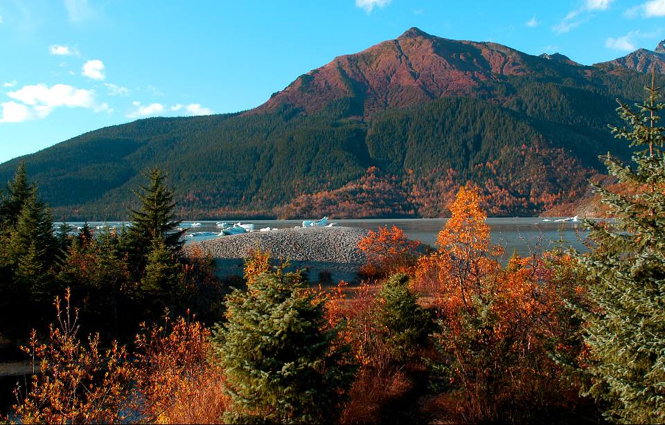 Forest Service Moves to Open ‘America’s Amazon’ to Loggers National Forest Service cares for Tongass NF Alaska