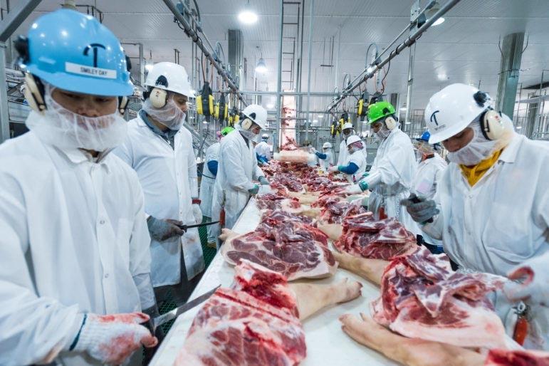 A Meat Processing Plant in action