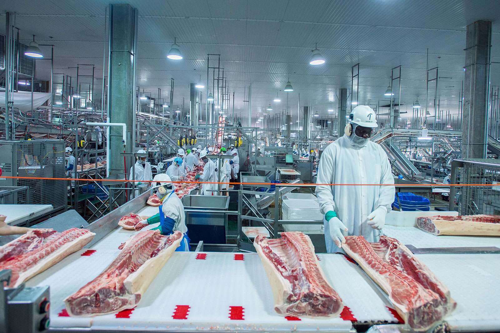 USDA: In this 2017 photo, employees work at Triumph Foods pork processing facility in St. Joseph, Mo. (USDA Photo)