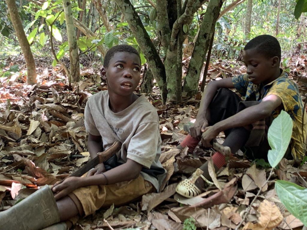 Enslaved Cocoa Planation Boys with their machetes in Ivory Coast