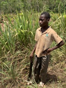 Enslaved Boy with machete on cocoa plantation in Ivory Coast