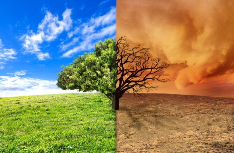 CLIMATE CHANGE