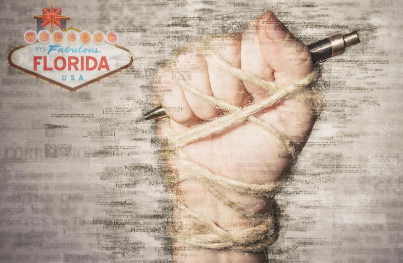 Florida Senate member Brodeur proposes making bloggers register