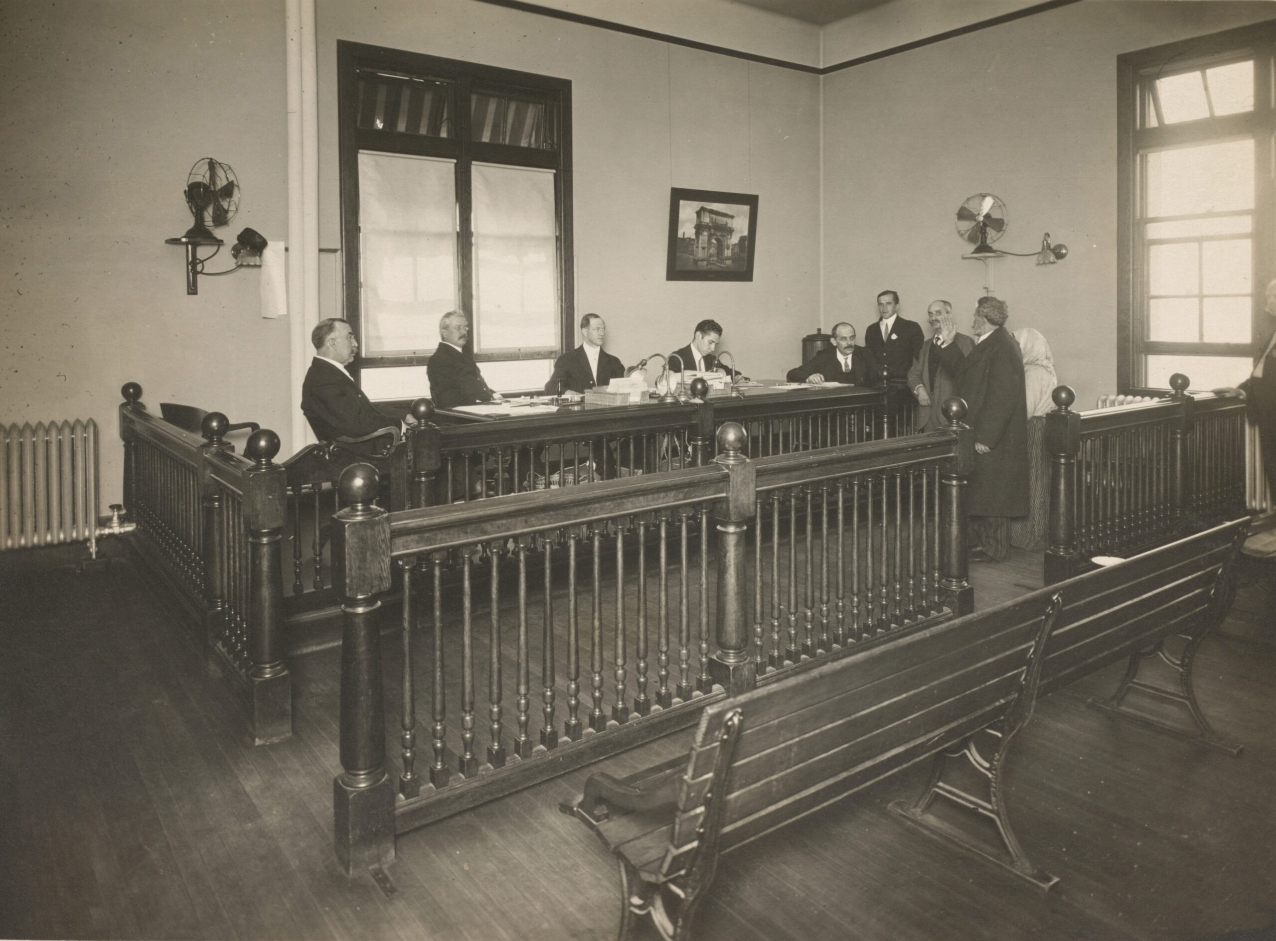 Expert witness