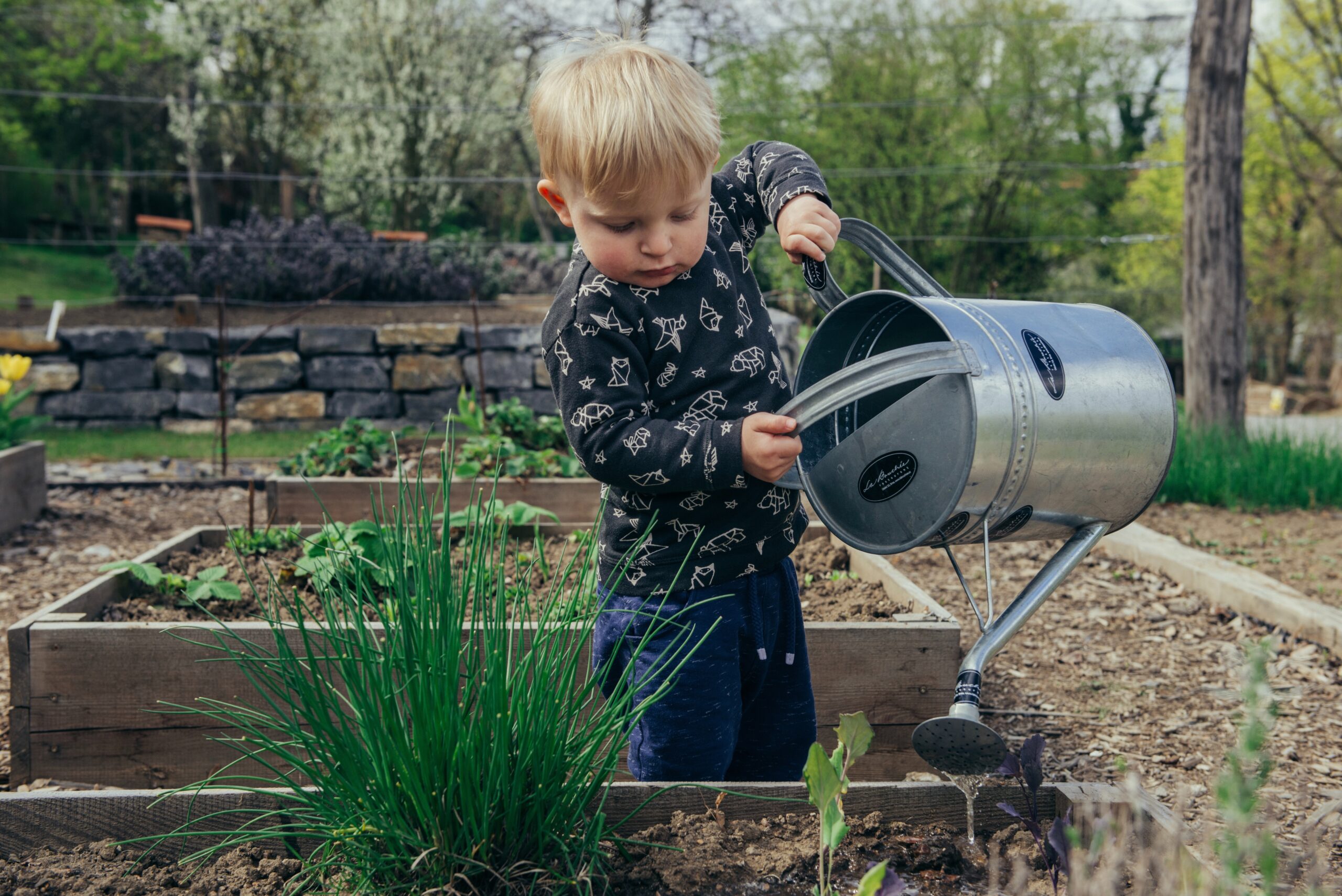 Gardening Awareness