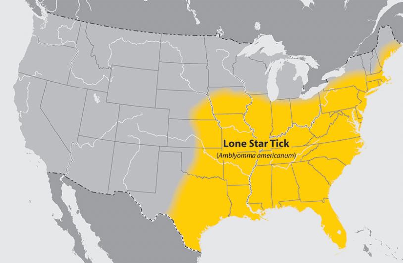 Map of lone star tick