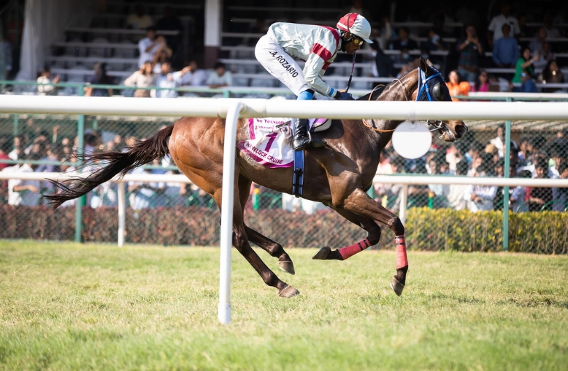 Jockey on horse at racetrack.