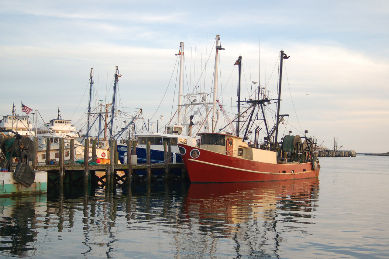 Boats docked at St. Judith Port.