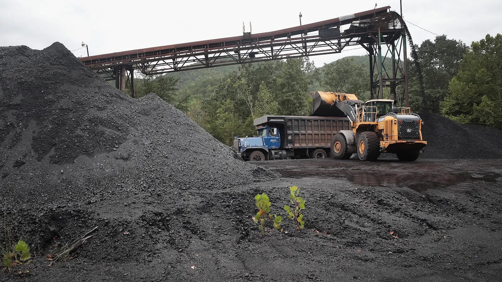 Coal Mine