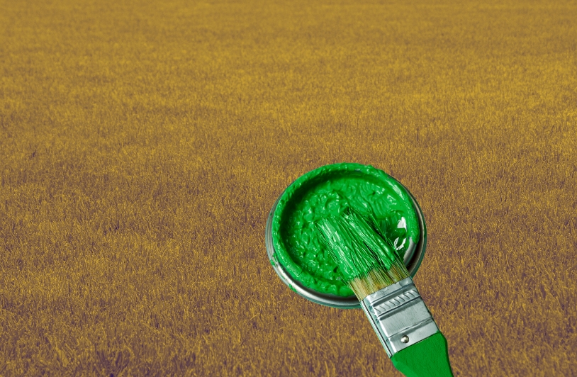 When the “Paint Grass Green Guy” Runs the World: The Dangers of Blind AI Reliance green paint and grass