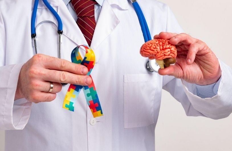 Doctor holding a brain