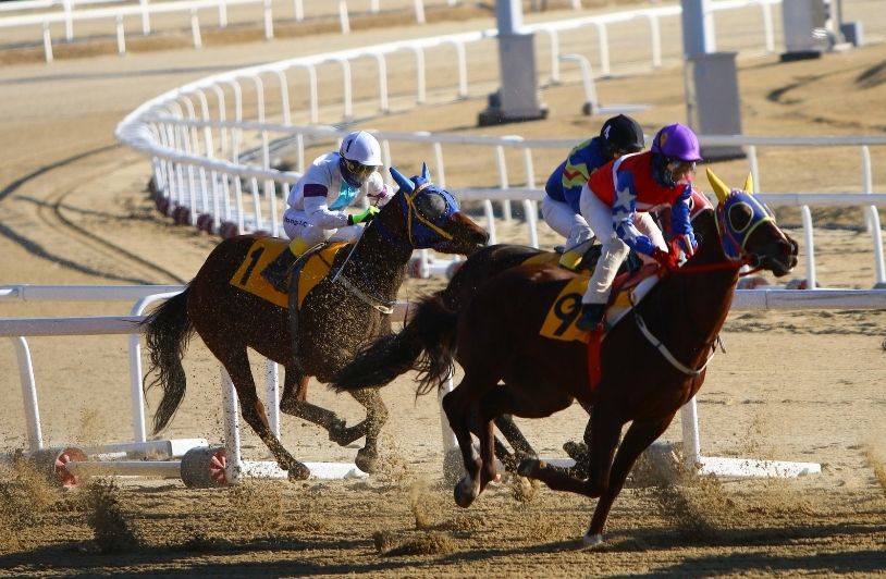 Racing, Horse racing, Equestrian image.