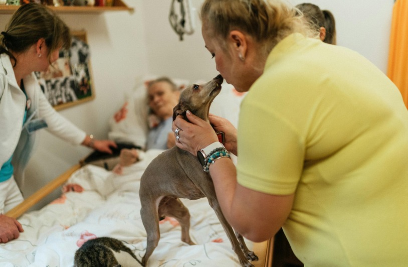 Steps to Enroll in a Pet-Friendly Rehab Facility in Los Angeles Sponsored article banner image for pet friendly rehab los angeles