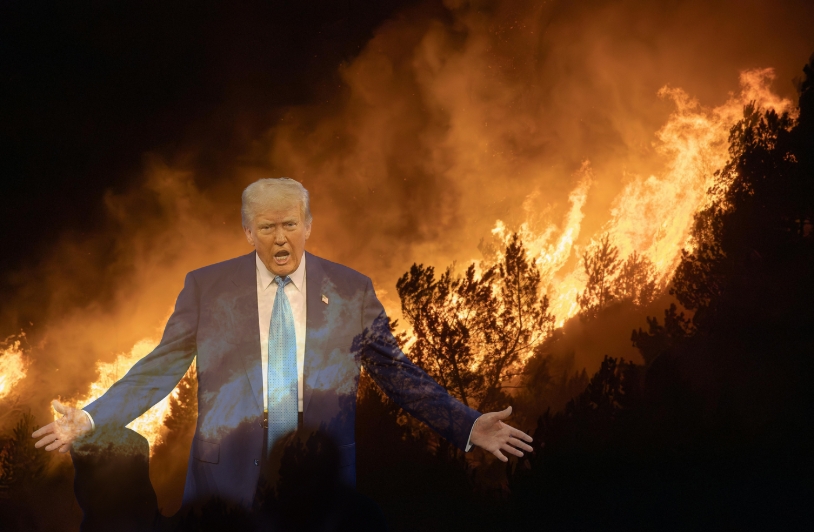 Trump and fires