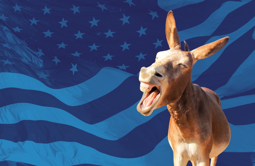 donkey in front of American flag