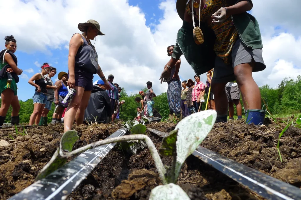 For Black Women Farmers, Tending the Land Is Ancestral and Healing Black women farmers