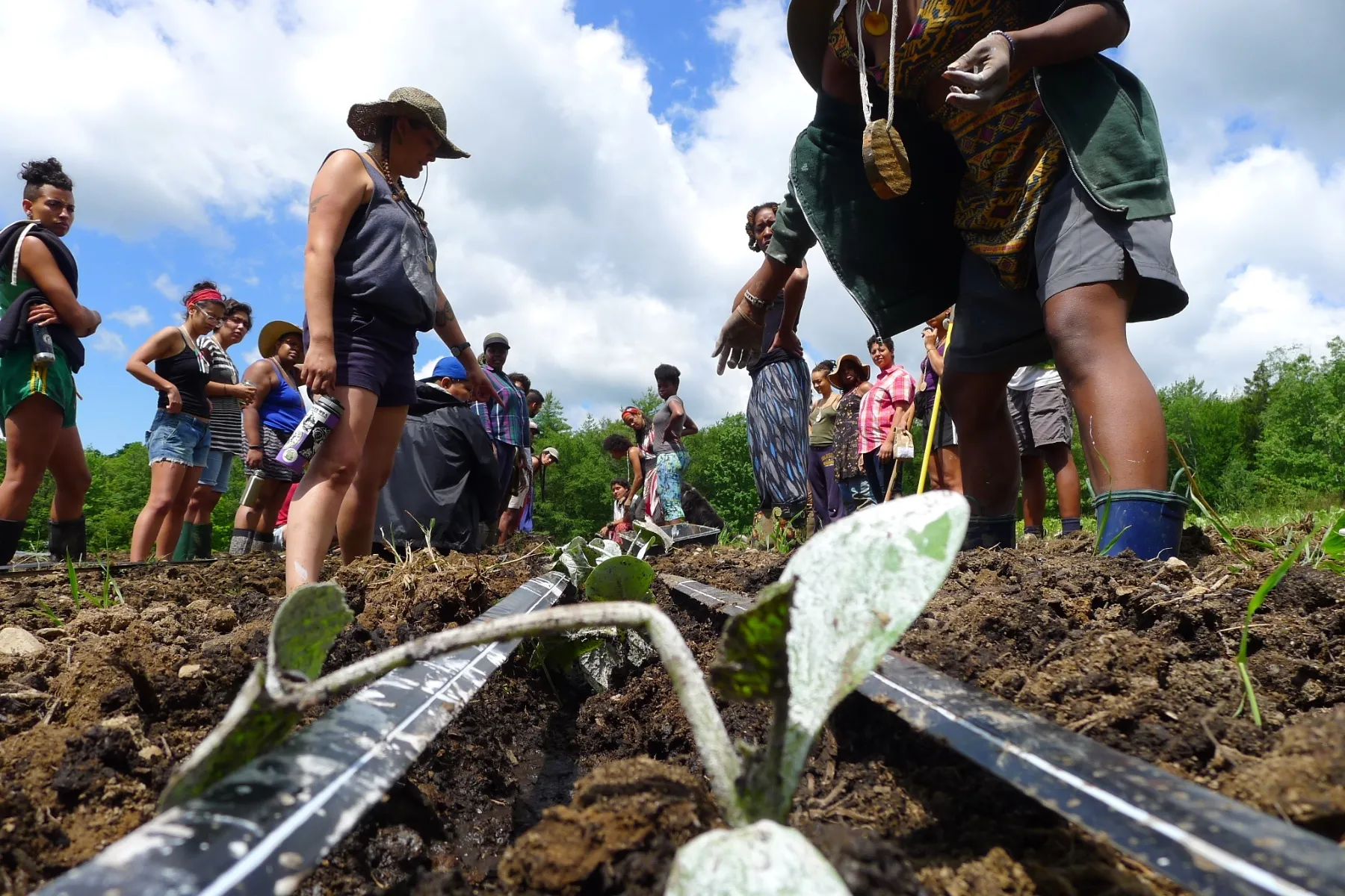 Black women farmers