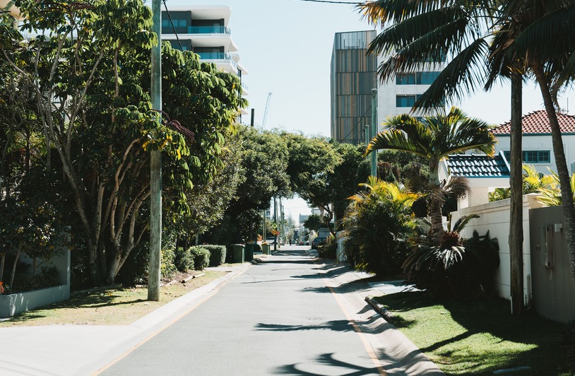 Quiet residential street lined with palm trees, hedges, and white walls, with modern apartment buildings visible beyond the greenery
