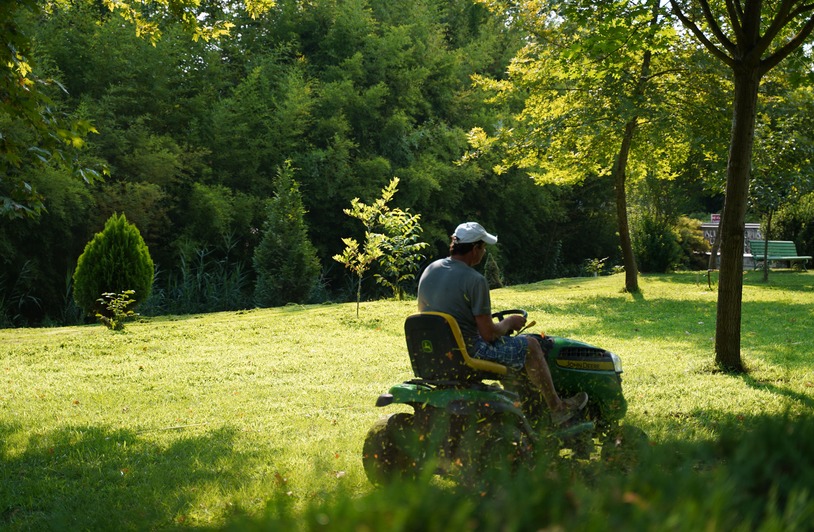 Budget-Friendly Yard Care: Maximizing Value A man operating a lawn mower on a sunny day in a lush green garden, surrounded by trees and foliage.