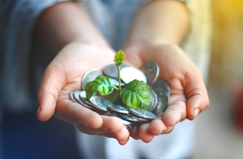 Illusion of Easy Money and the Economy of Hope Hands cupping coins with a green plant sprouting, symbolizing financial growth.