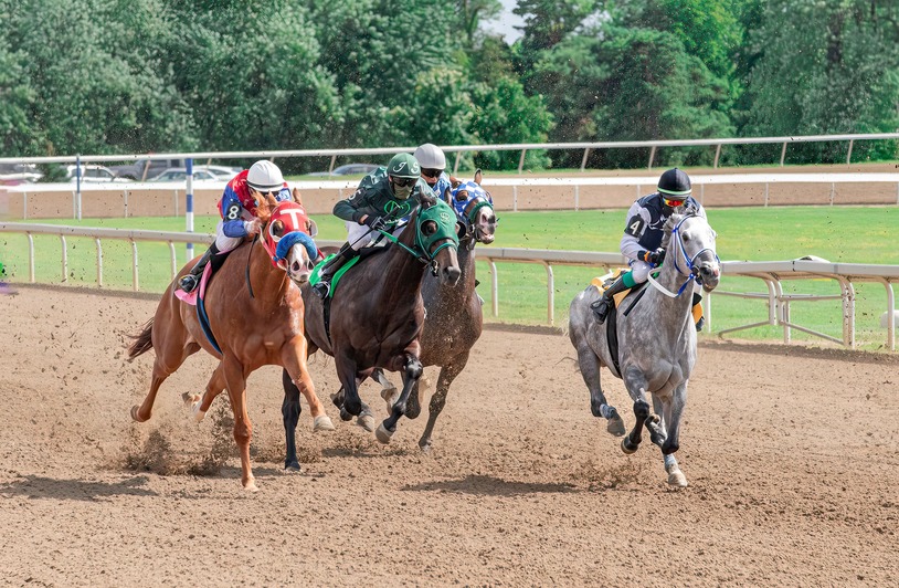 The Shift to Online Betting: How Horse Racing is Adapting in the Digital Age Jockeys and horses racing with intensity on a dirt track, showcasing speed and skill in an outdoor setting.