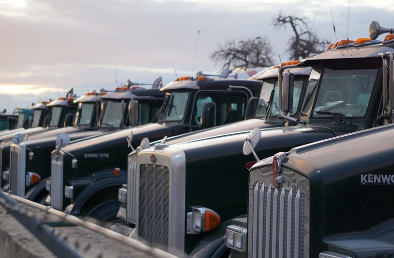 Washington Ranks Among the Top 10 U.S. States to See the Biggest Gains in Truck Driver Employment and Pay Classic Kenworth trucks lined up outdoors, showcasing heavy-duty retro design.