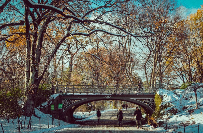 What Winter Hazards Cause Slip and Fall Injuries in New York? People walking in Central Park under a picturesque bridge during a snowy winter day.