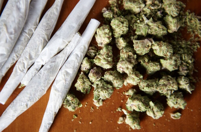 What Makes Blueberry Lemon Bars A Popular CBD-Inspired Option? Close-up of cannabis buds with purple and green hues on a surface