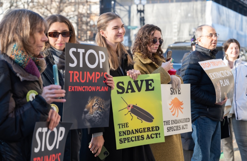 Trump Administration Says Accidental Killing of Endangered Species Is Not Illegal protesters against Trump policy on endangered species