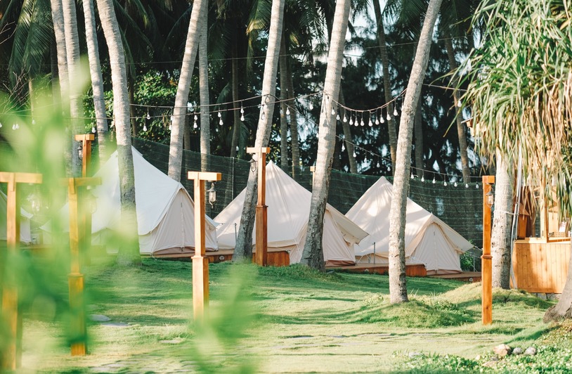 5 Web Design Friction Points That Kill Glamping Bookings Luxury tents in a palm grove offer a serene glamping experience in Phan Thiet, Vietnam.